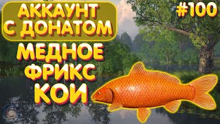 Аккаунт с донатом #100 | Медное - Кои и Фрикс | Купил Тагару | Русская Рыбалка 4