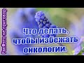 🌸Что нужно делать, чтобы избежать oнкологии