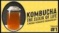 The Fascinating World of Kombucha: A Refreshing and Health-Promoting Elixir ile ilgili video