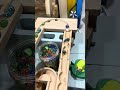 Relaxing Melody Pipes 🎶 (Marble Run ASMR) | 心地よいメロディパイプと木の音①