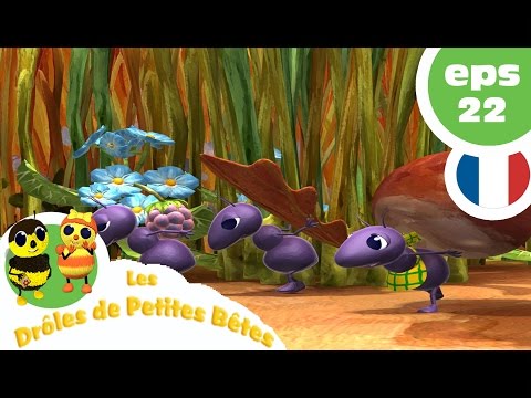 DRÔLES DE PETITES BÊTES EP22 Le Malade Imaginaire