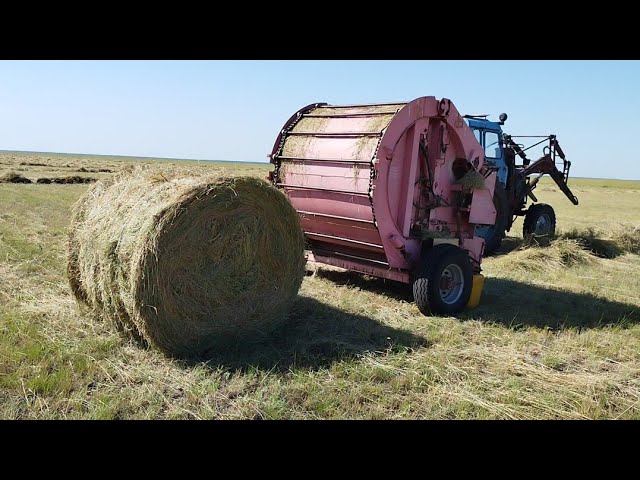 Швейцариядағы порно Беляеводағы минет