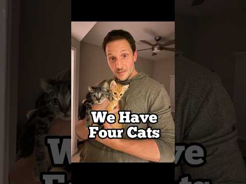 We love our rescue cats