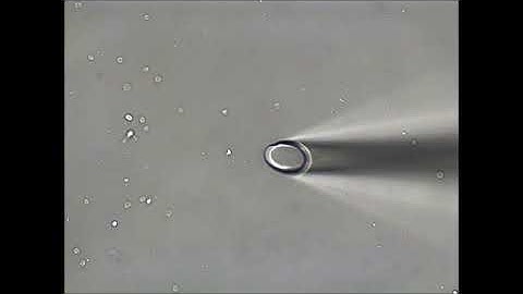 Isolating Single Neurons