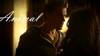 Katherine & Stefan Animal