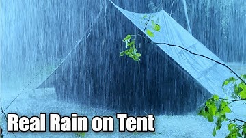 🎧 Listen & Fall Asleep Instantly | Torrential Rain On Tent & Strong Thunder On Rainy Night In Forest