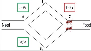 Ant Colony Optimization 1 (SNU AI Presentation)