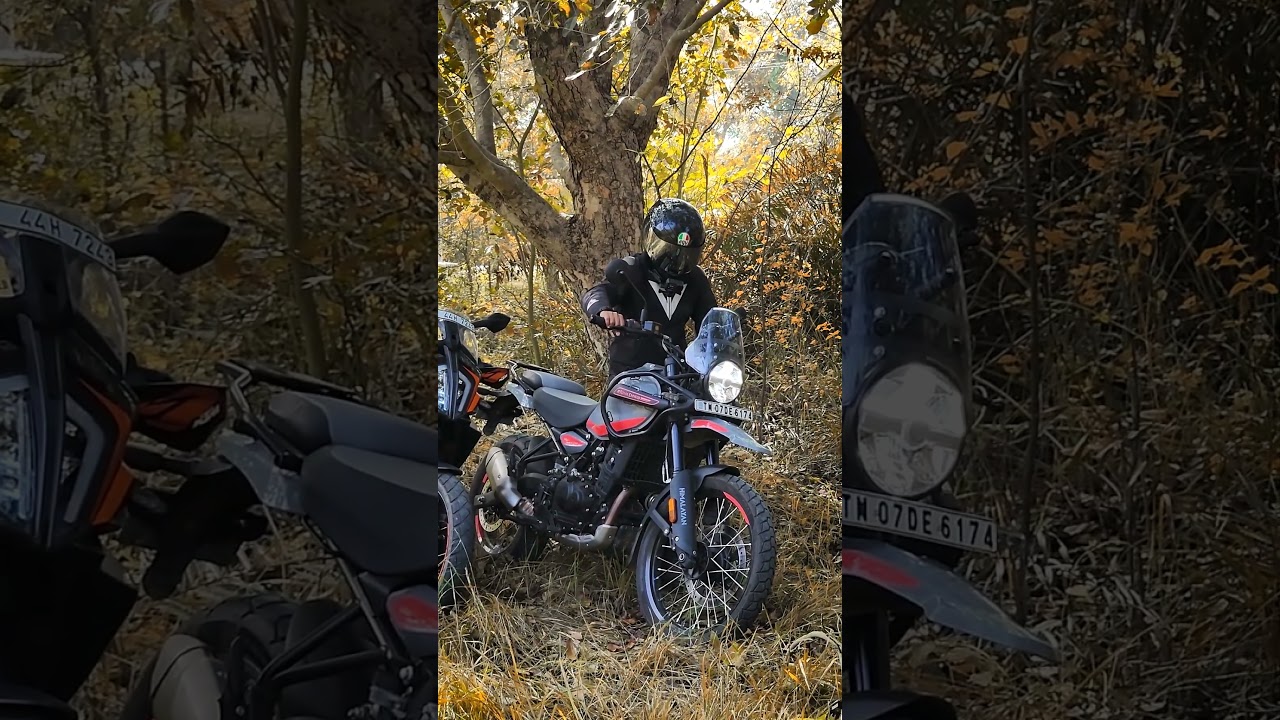 Himalayan 450 Vs Adventure 390 | Exhaust Comparison