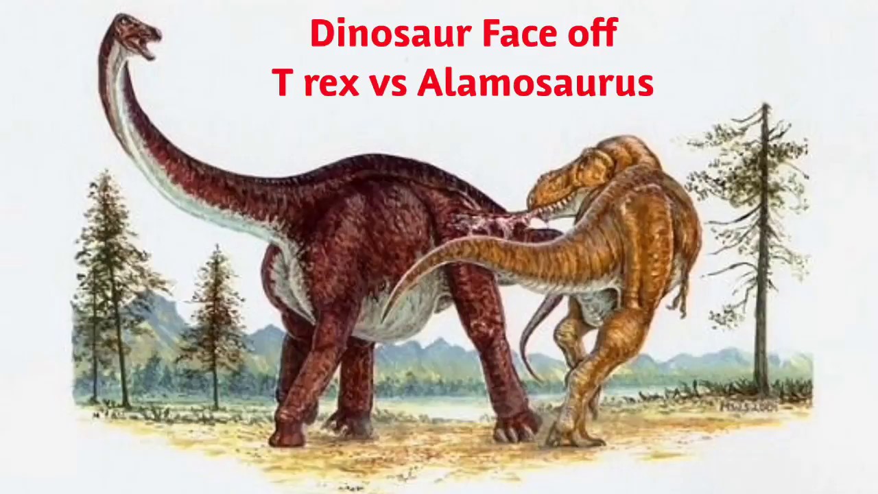 Какой динозавр сильнее. Тираннозавр и Диплодок. Диплодок Брахиозавр Бронтозавр. Диплодок с Рексом. Диплодок Брахиозавр Апатозавр.