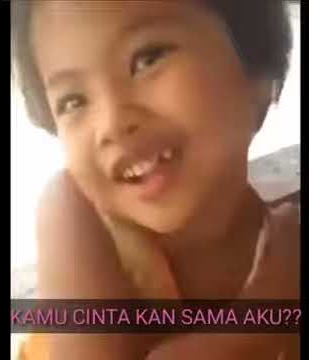 Status Whatsapp,  status lucu
