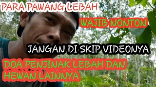 pawang lebah wajib nonton doa penjinak lebah dan binatang buas