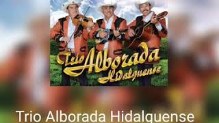 Trio Alborada Hidalguense__ Tu enamorado