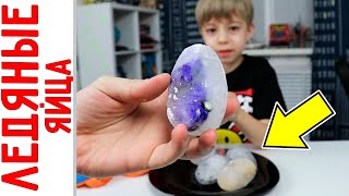 НАШЛИ В ЛЕСУ ЛЕДЯНЫЕ ЯЙЦА! Машинки внутри! МАШИНОЗАВР поселился в нашем лесу? 😱 НАШЛИ В ЛЕСУ ЛЕДЯНЫЕ ЯЙЦА! Машинки внутри! МАШИНОЗАВР поселился в нашем лесу? 😱