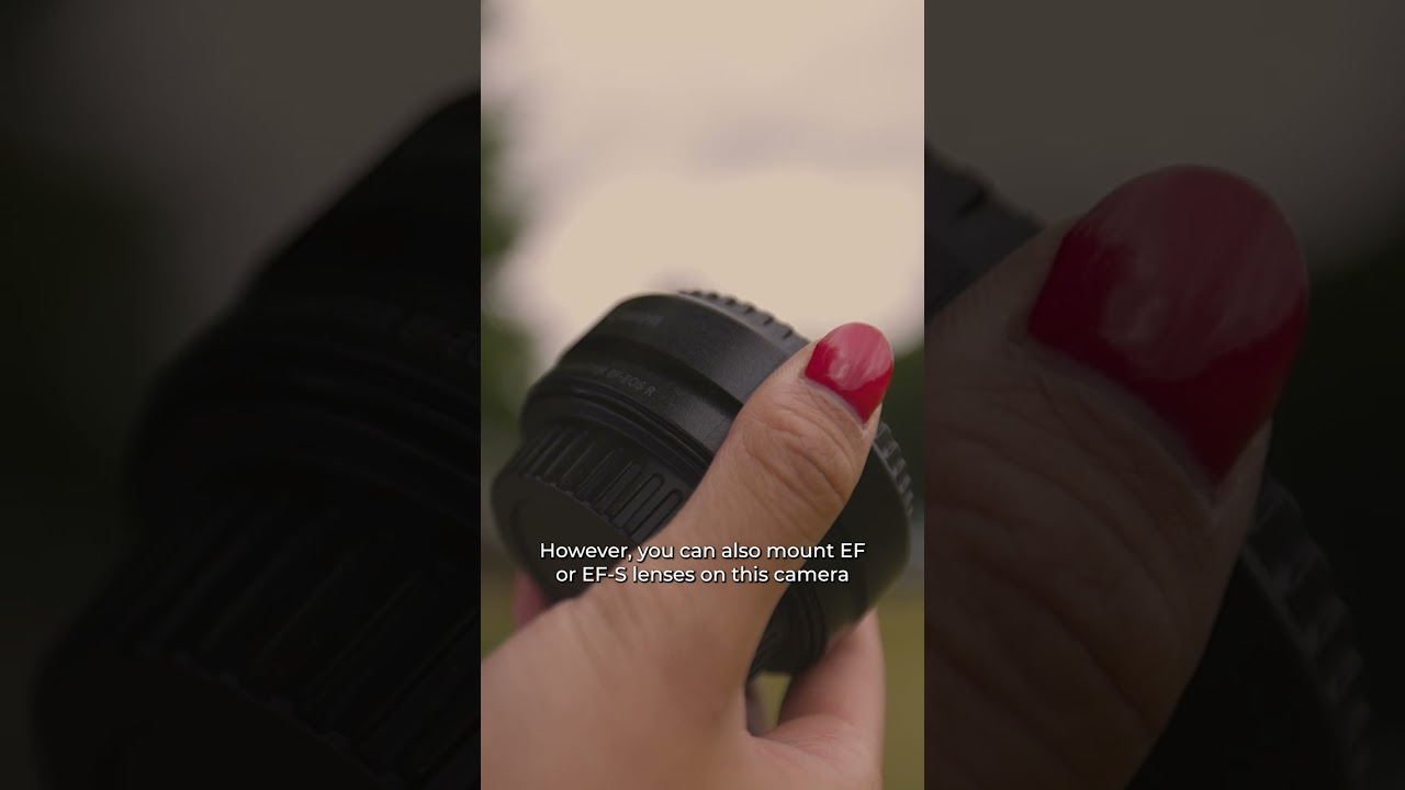 What Lenses Are They Compatible With? Canon EOS 77D vs Canon EOS R