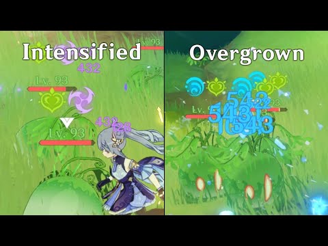 Video FINALLY!! These Are The New Dendro Reactions In 3.0 -... - youtube