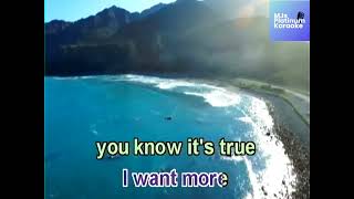 reyna 2 Everything I Do It Do For You Bryan Adams mjs Karaoke Platinum