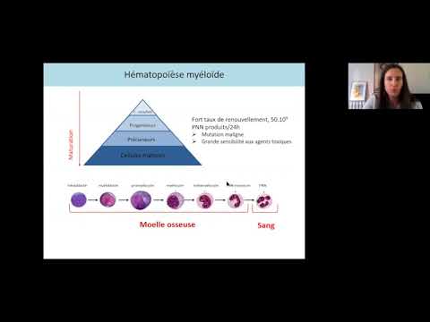 Vidéo: CamurWeb: Un Logiciel De Classification Et Une Large Base De Connaissances Pour Les Données D'expression Génique Du Cancer