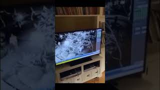 Lafayette County judge Michelle Odinet using racial slur on her own home video