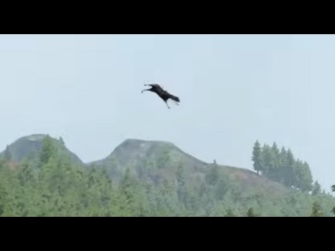 世界上BUG巨多的搞笑遊戲 母馬隨意飛天