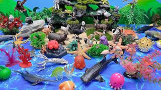 Diy Animal Island With Giant Ocean World - Shark Octopus Whales Starfish Deer Kangaroo