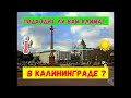 Подходит ли вам климат в Калининграде?