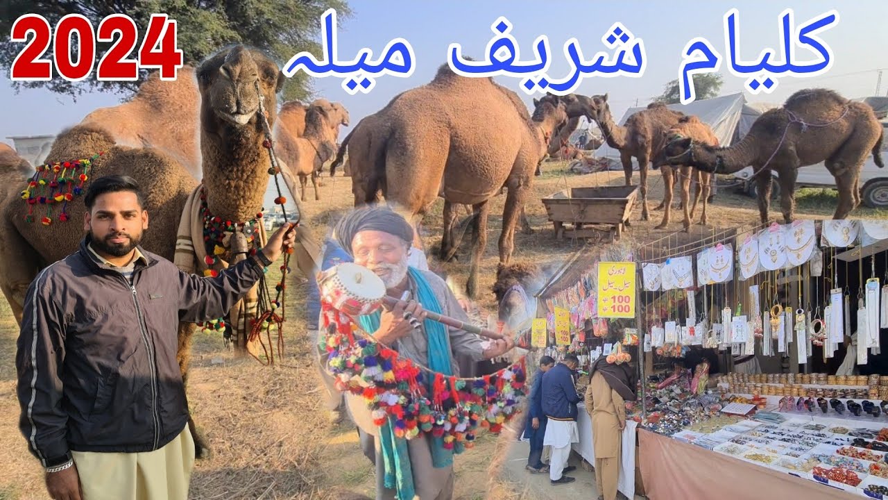 Kalyam Sharif Mela 2024 | Biggest Camel Festival in Pakistan | Urs Baba Fazal Shah Kalyam 2024