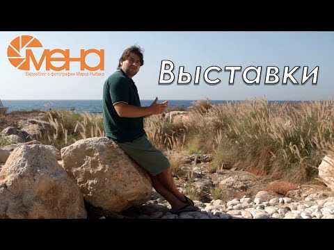 Выставки