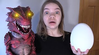 WE HATCHED A DRAGON'S EGG!