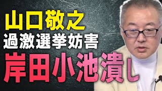 【岸田＆小池つぶし】日本の今を暴露、つばさの党 選挙妨害【文化人スペシャル特集】　#日本保守党　#岸田総理　#小池都知事