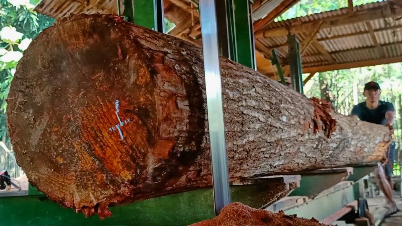 the amazing process of sawing redwood logs at a sawmill - YouTube