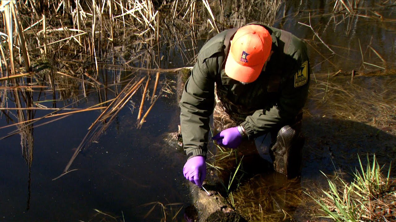 Environmental Sampling for HPAI