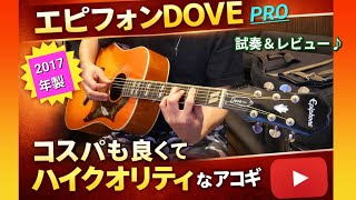 エピフォンDOVE（試奏)⇒コスパも良くてハイクオリティなアコギ