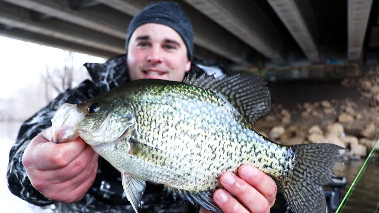 Early spring PreSpawn Wisconsin Crappie Fishing (Surprise Catch) YouTube