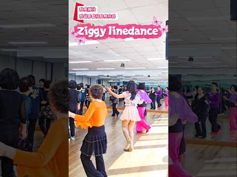 봄바람에살랑살랑댄스#Ziggy#초급라인댄스#linedance#shorts#초급라인댄스