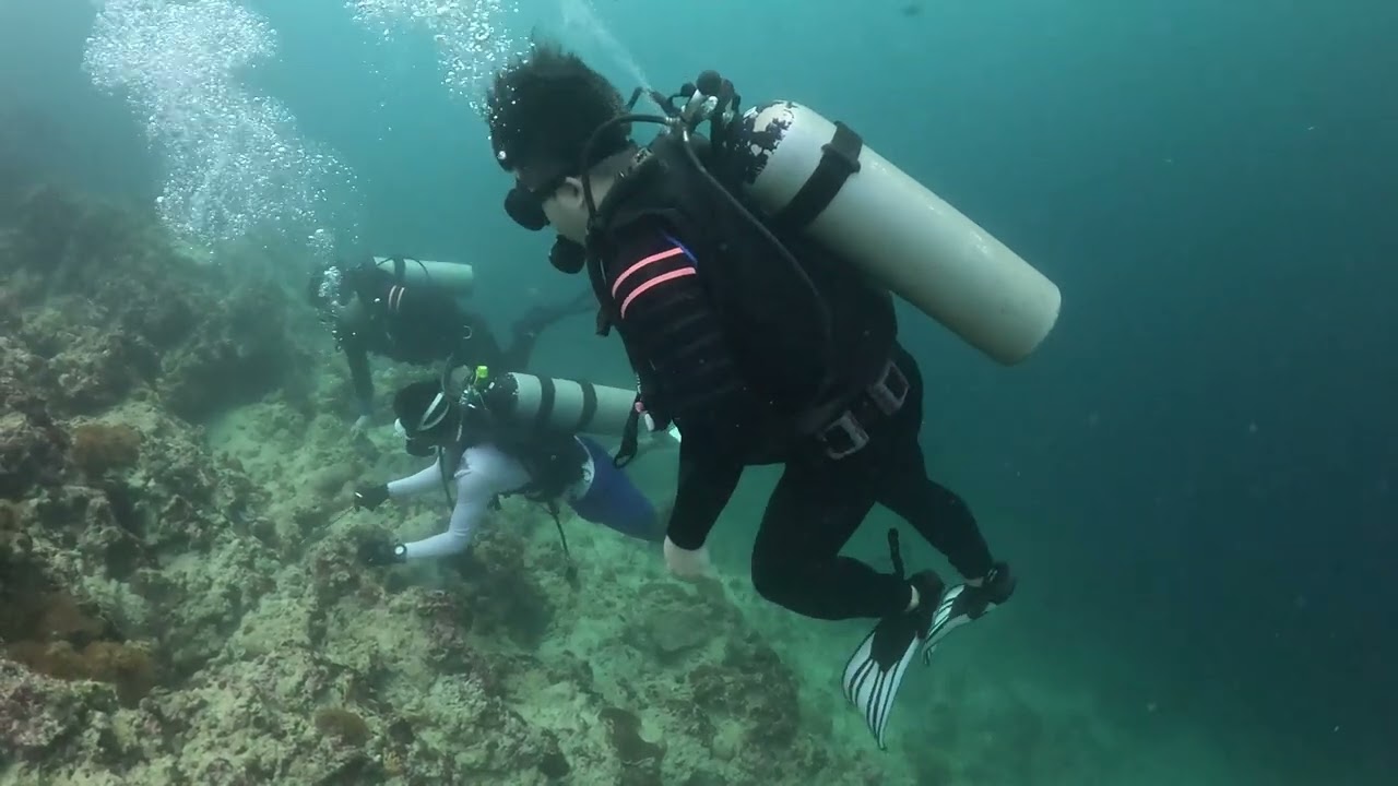 2025.03.07 02 SCUBA DSD GOPRO12 DIVESTORY MOALBOAL