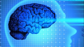 Intelligence Concept Education PowerPoint Templates Themes And Backgrounds ppt layouts