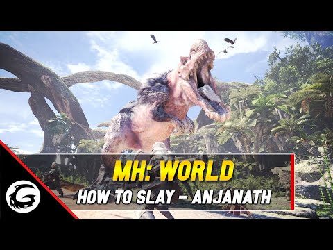 Video: „Monster Hunter World“- „Anjanath“strategija, „Anjanath“silpnumas Ir Kaip Gauti „Anjanath Fang“, Plokštelę, Uodegą, Skalę Ir Nosies Kaulą