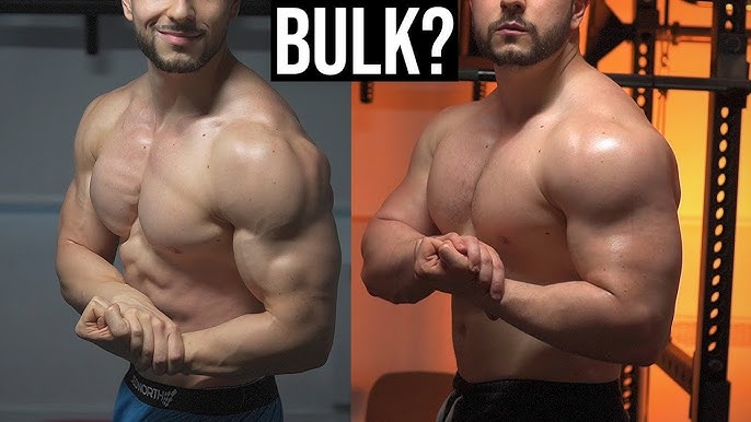 Lean Muscle vs Bulk Muscle - What's the Difference? – Prorganiq