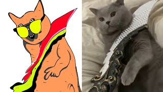 Cat Memes 😇 Skibidi Toilet Cat and Funniest Dogs | Drawing Memes Part 1 😅 Trending Funny Animals 😹