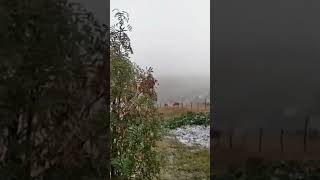 Trabzon Kadırga Yaylasına Mevsimin Ilk Karı Düştü.