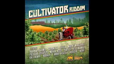 CHRONIXX - PERFECT TREE - CULTIVATOR RIDDIM 2014