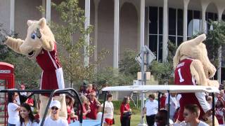 OU Chi Omega Reunion