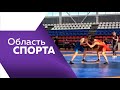 Программа &quot;Область спорта&quot; №250