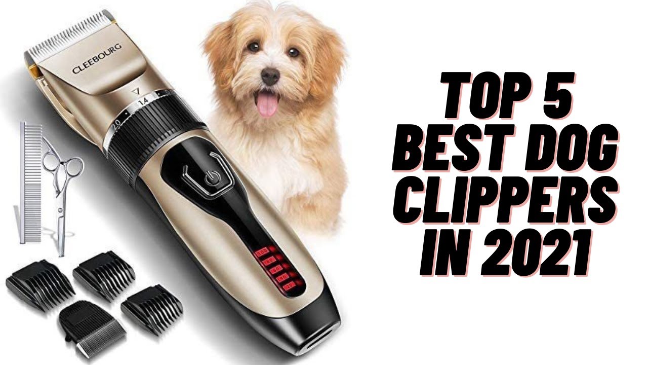Best Dog Clippers in 2021| Top 5 Best Dog Clipper reviews on amazon -  YouTube