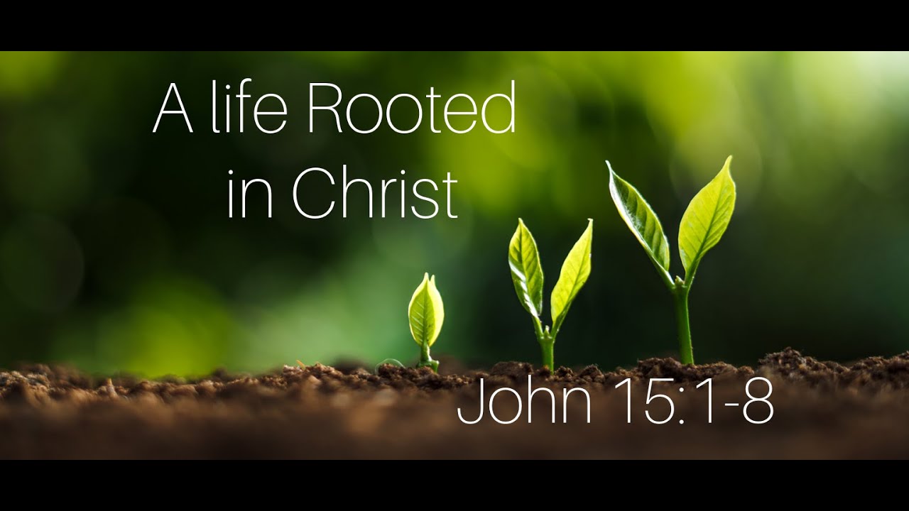 A Life Rooted in Christ (John 15:1- 8) - YouTube