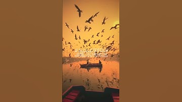 حالات واتس قرآن كريم 🍁تلاوة من سورة يوسف 🍁القارئ مشاري فالح🍁