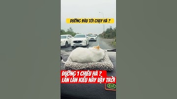 NGHỀ TÀI ƠI NÓ BẠC LẮM RỒI ! Ủa mà đường 1 chiều hả mấy ní #shortsvideo #shorts