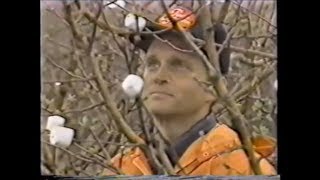 Marshmallow Farmers