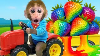 Abe BonBon finder de forsvundne regnbue jordbær | BonBon Danmark