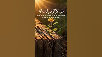سورة الروم جزء من آيه {٣٠}#المصحف #quran #اكسبلور #islamicfestival #حالات_واتس #راحة_نفسية #islamich